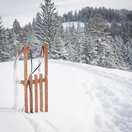 Tarski Proplanak Holiday home Bajina Basta