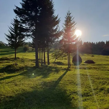 Tarski Proplanak Holiday home