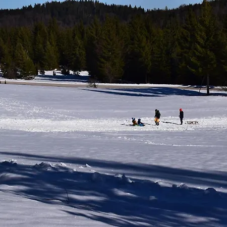 Tarski Proplanak Holiday home Bajina Basta