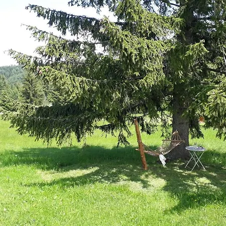 Holiday home Tarski Proplanak Bajina Basta